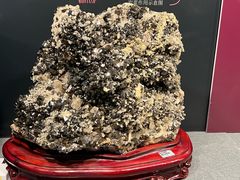 -国家自然博物馆