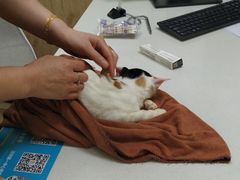 -瑞鹏宠物医院·骨科·猫科·内科(第一中心)