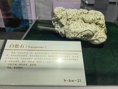 -中国第四纪冰川遗迹陈列馆
