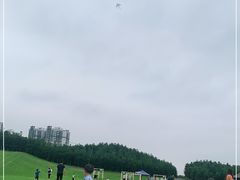 -迪茵湖田家舍生态农场
