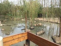 -溱湖国家湿地公园