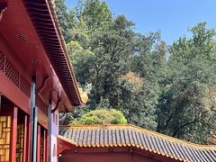 -岳麓山风景名胜区