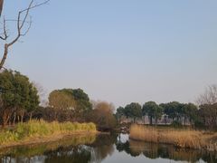-贡湖湾湿地公园
