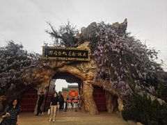 -大槐树寻根祭祖园