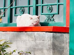 -北京颐和宾馆