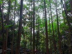 -凤栖山