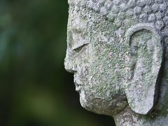 -鹿野苑石刻艺术博物馆