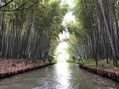 -同里国家湿地公园