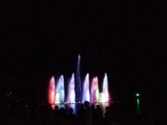 android_upload_pic-清迈夜间动物园