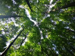 -山王坪喀斯特国家生态公园