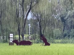 -北坞公园