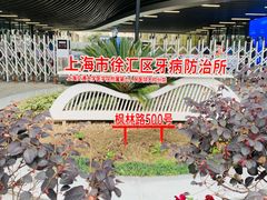 -上海市徐汇区口腔医院