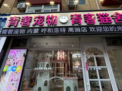 -青奢宠物·青奢猫舍