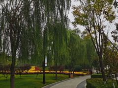 -迎泽公园