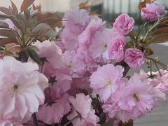 -云里小坐·海泉湾·团建·宴席·下午茶(金堂海泉湾店)