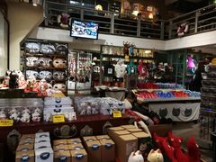 -猫咪博物馆(顶澳仔猫街店)