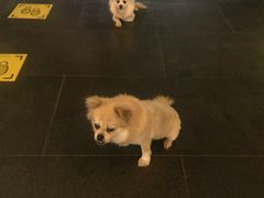 -I HOLIC艾豪丽披萨(KKone店)