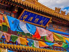 -大召寺明清一条街