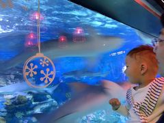 -烟台海昌鲸鲨海洋公园