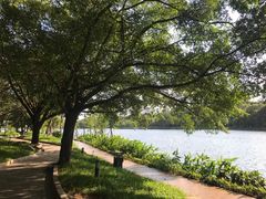 -南国桃园旅游度假区