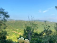 -马峦山郊野公园