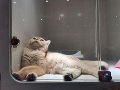 -乐宠宠物店(世纪金源店)