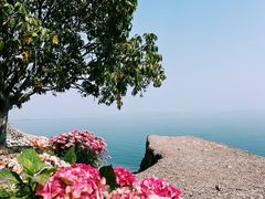 -抚仙湖禄充风景区