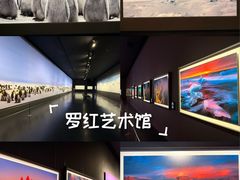 -罗红摄影艺术馆