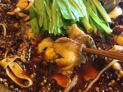 -都江堰石锅鱼