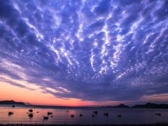 -北岐滩涂