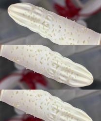 -Cream88颜皮肤管理中心