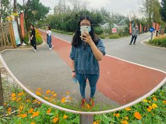 -上海长兴岛郊野公园