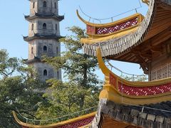 -江心屿景区