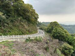 -阳台山森林公园