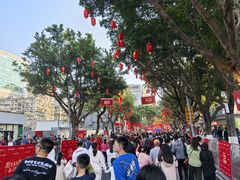 -越秀西湖花市(广州城市广场花卉店)