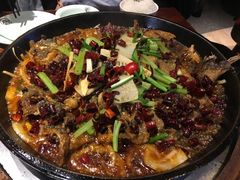 -老板恋上鱼(高新万达店)