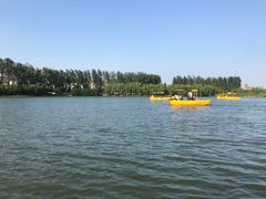 -荷塘月色湿地公园·向阳花洲