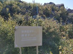 -白草畔自然风景区