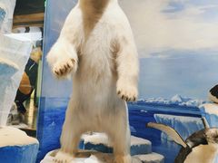 -国家自然博物馆