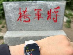 -王顺山国家森林公园