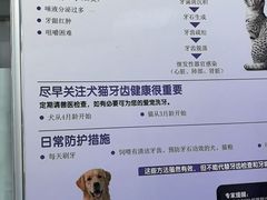 -芭比堂动物医院(广州爱宠下渡路分院)