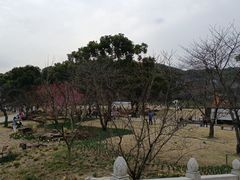 -苏州上方山国家森林公园