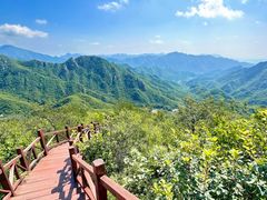 -大岭沟猕猴桃谷风景区