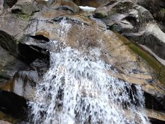 -九龙江国家森林公园