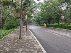 -长春市南湖公园