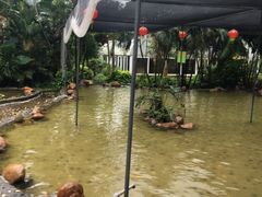 -水濂山森林公园