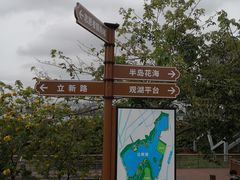 -立新湖公园
