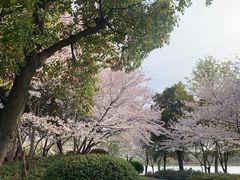 -石湖景区