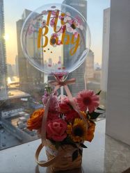 -巍阁高端月子会所