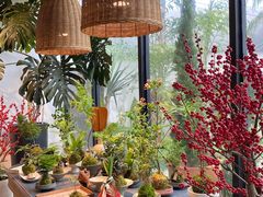 -自由生长植物工作室(深港花卉中心店)